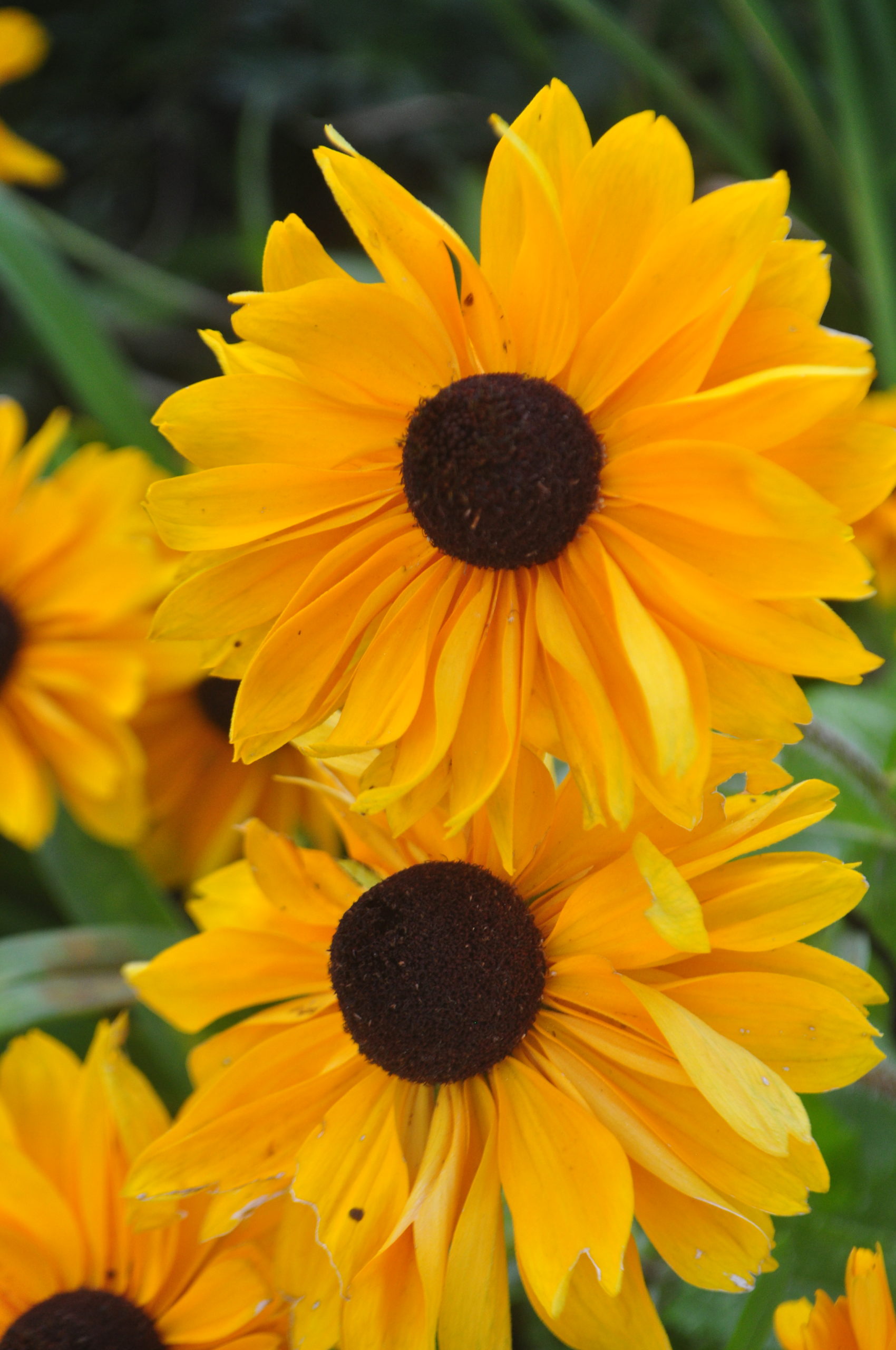 DSC_0649 DSC_0649