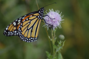 DSC_0289_small DSC_0289_small